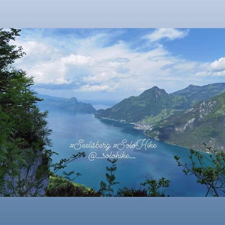 Schoene Ferienwohnung In Traumlage Fewo Solohike Seelisberg Exteriör bild