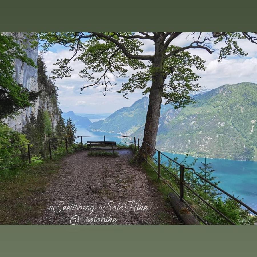 Schoene Ferienwohnung In Traumlage Fewo Solohike Seelisberg Exteriör bild