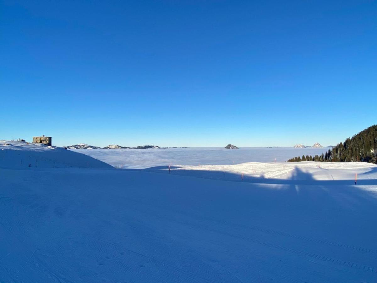 Schoene Ferienwohnung In Traumlage Fewo Solohike Seelisberg Exteriör bild
